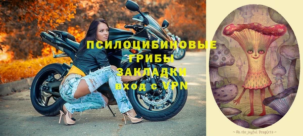прущие крисы Балахна