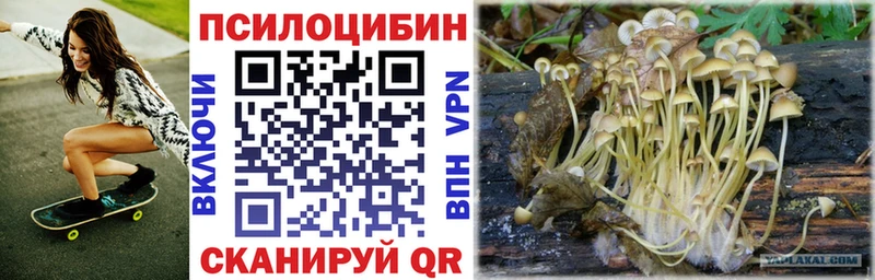 Галлюциногенные грибы MAGIC MUSHROOMS  Тулун 